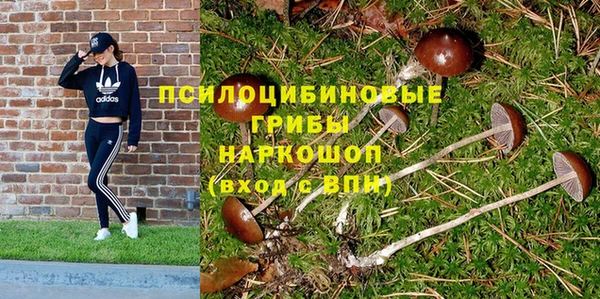 скорость Алексин