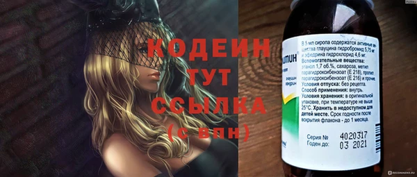 спиды Абаза